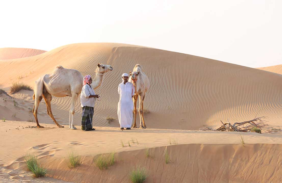 camel ride dubai